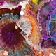 A close-up image of ‘Woodstock’ by Josie Lewis